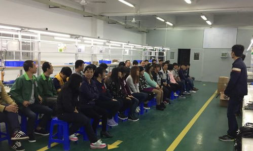 先就業(yè)再擇業(yè) 大學教授呼吁雙非畢業(yè)生務(wù)實面對就業(yè)市場